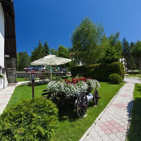 Lägenhet Aleksandra Zlatibor